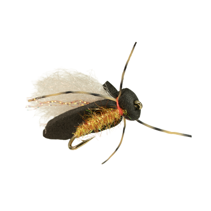 YFG's Super Cicada