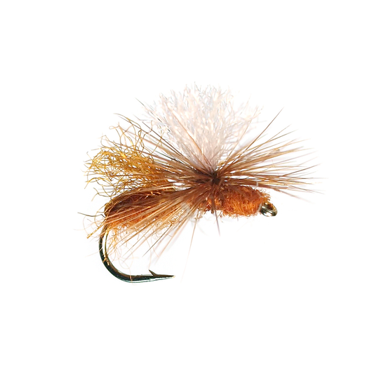 Preseason 2026 Bloom's Parachute Flying Ant