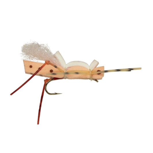 Ninch's Tip Jar - Peach