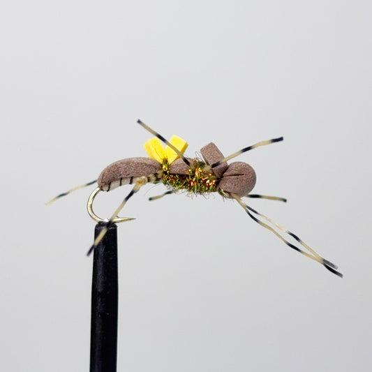 Preseason 2026 Wendling's Ghetto Fabulous Beetle