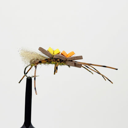 Preseason 2026 Wendling's Kidney Stone