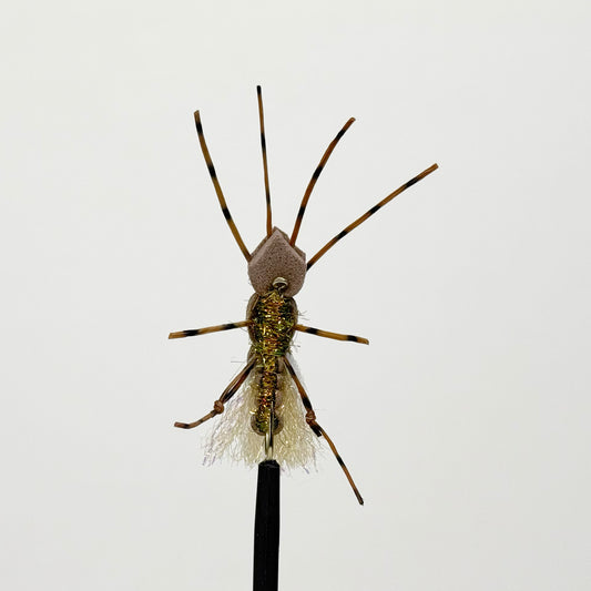 Preseason 2026 Wendling's Kidney Stone