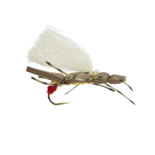 Will's Golden Ticket