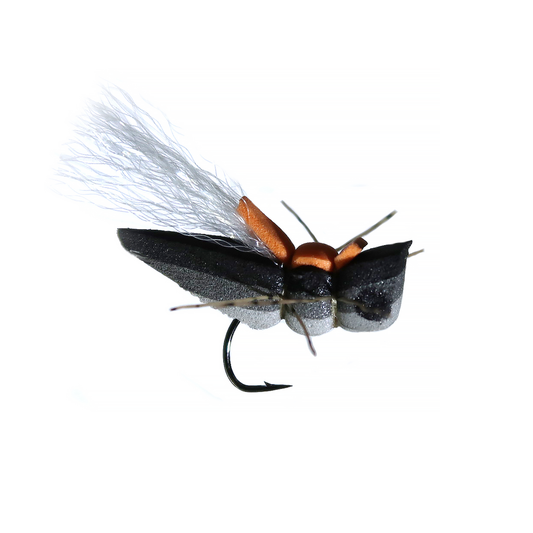 YFG's Windy Cicada