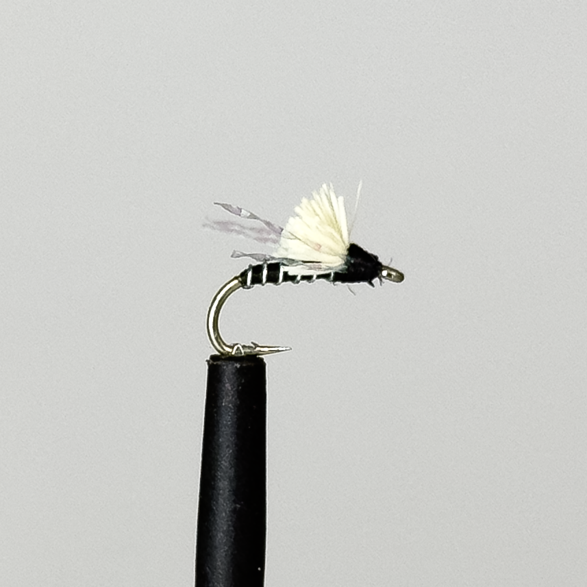 3$ Dip - Black Flash #16