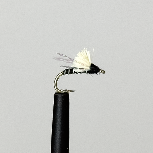 3$ Dip - Black Flash #16