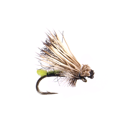 X Caddis