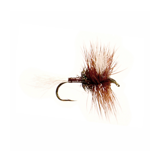 H & L Variant