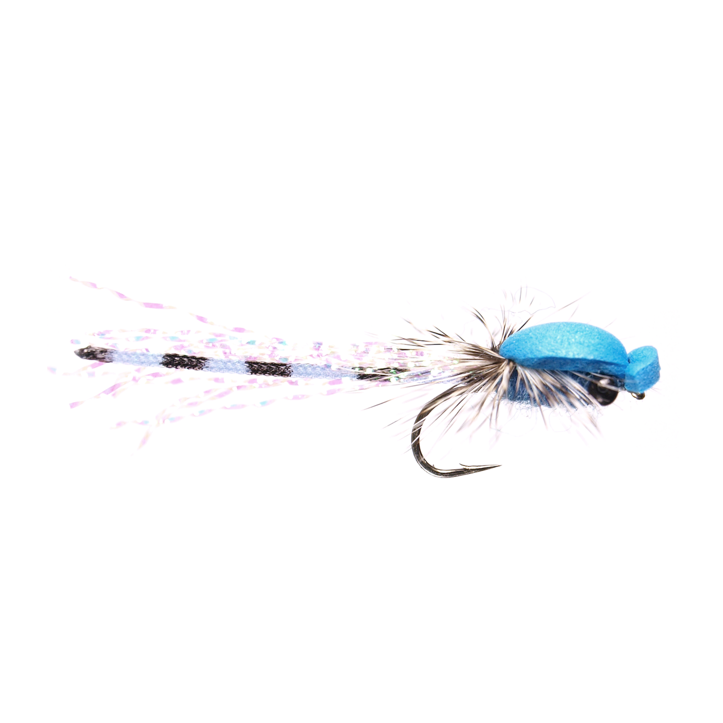 Adult Damsel Fly