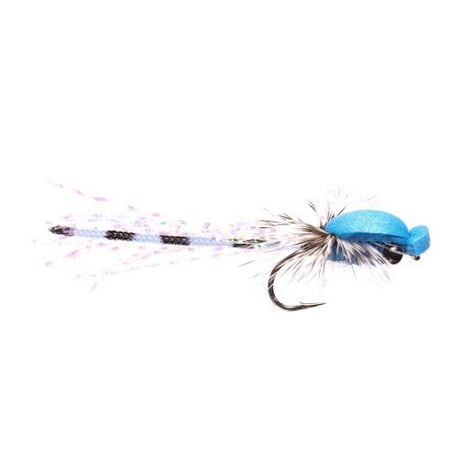 Adult Damsel Fly