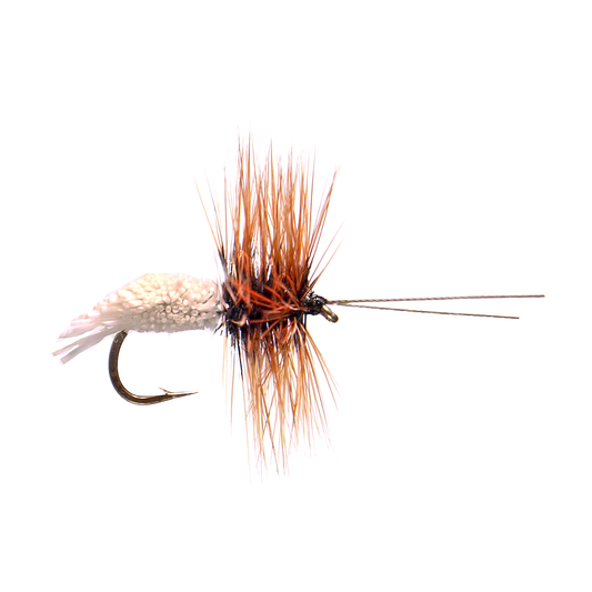 Preseason 2026 Goddard Caddis