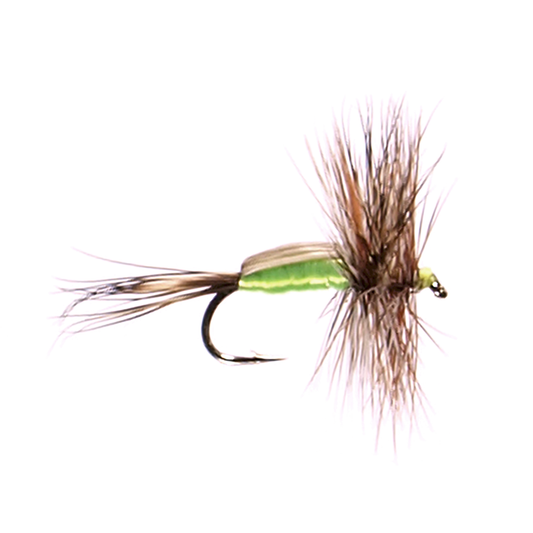 Preseason 2026 Chartreuse Humpy
