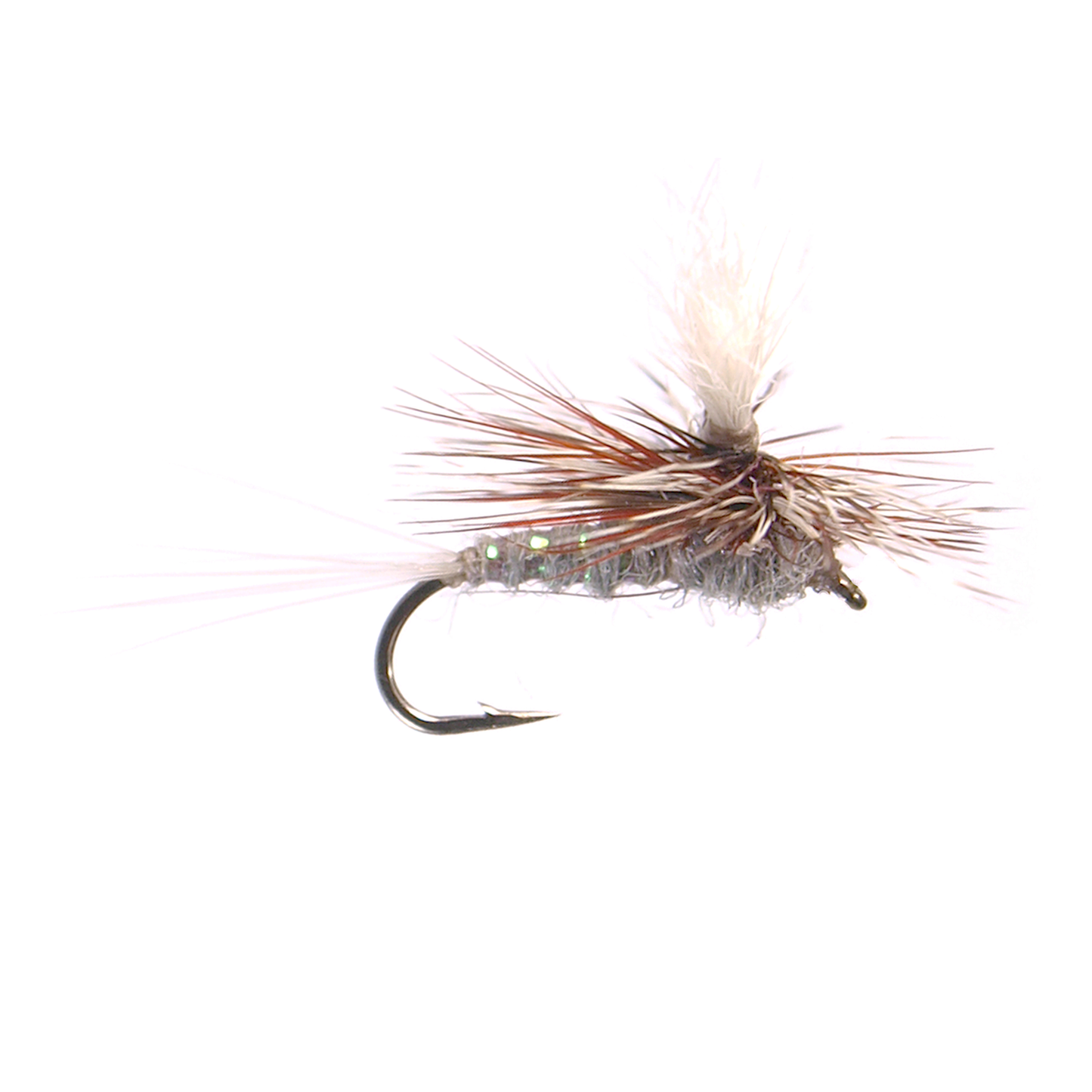 Para Wulff - Adams