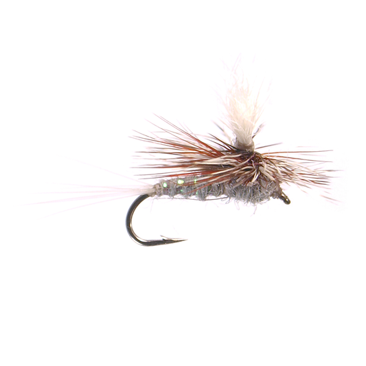Para Wulff - Adams