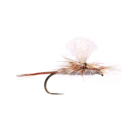 A single Parachute Adams artificial fishing lure with a brown body and beige parachute-like structure on top, attached to a hook.