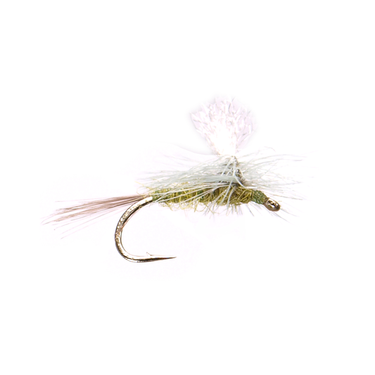 Parachute BWO