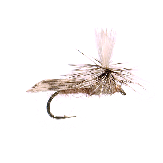 Preseason 2026 Parachute Caddis