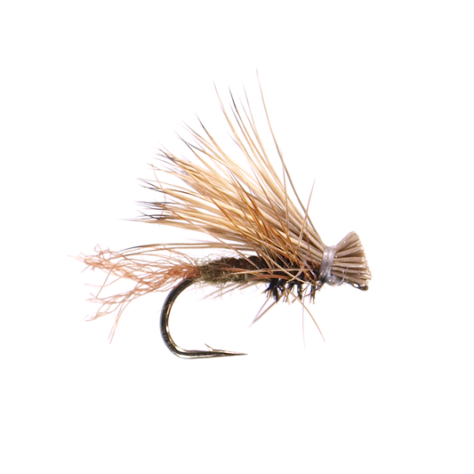 X Caddis
