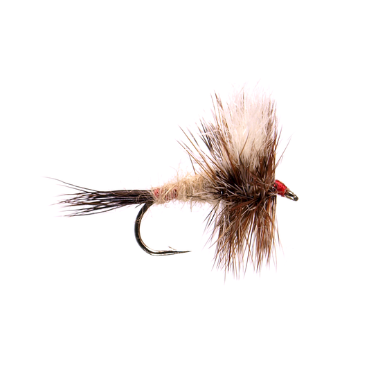 Ausable Wulff