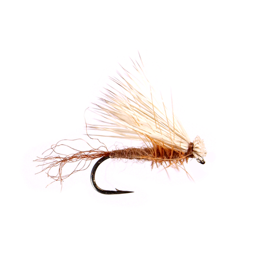 Preseason 2026 X Caddis