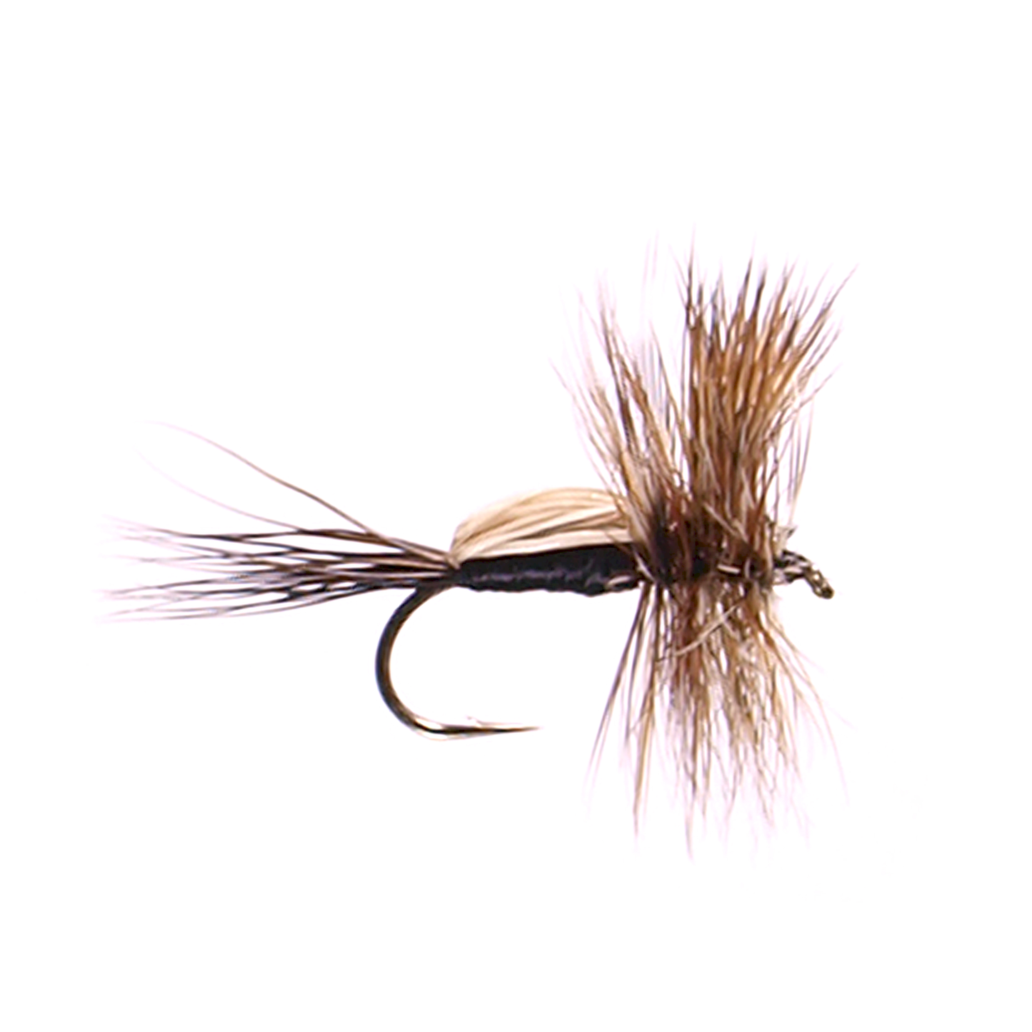 Black Humpy