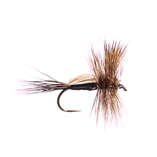 Black Humpy