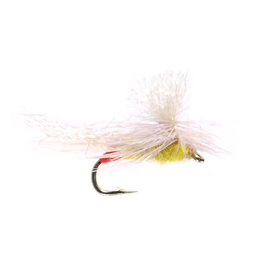 Parachute Yellow Sally