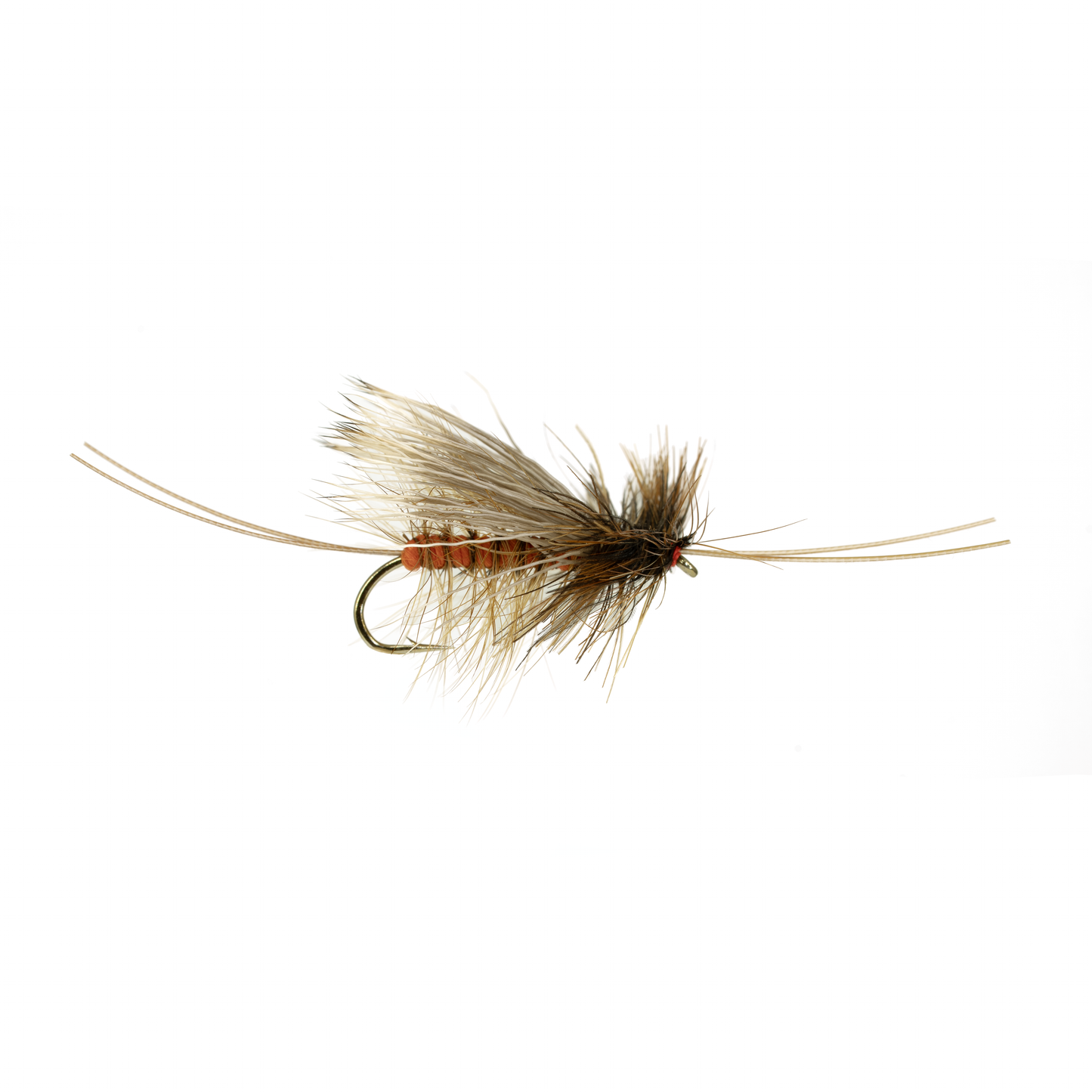 Birds Stonefly
