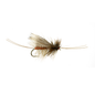 Birds Stonefly