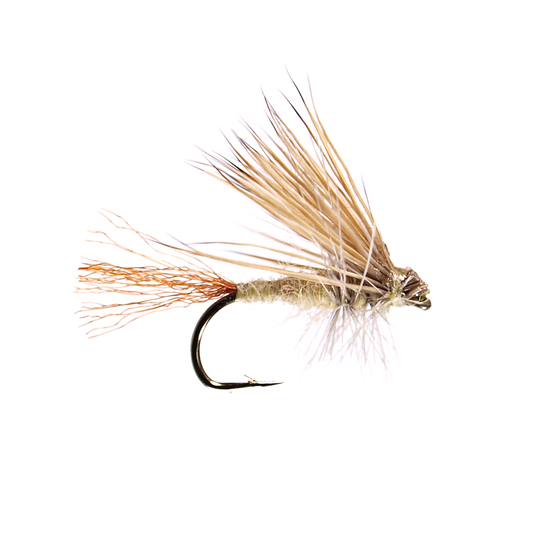 Hairwing Dun - PMD