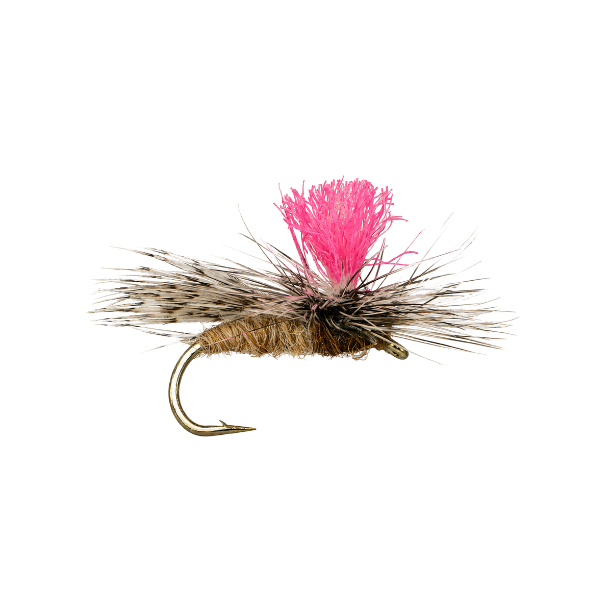 Guard's Low Rider Caddis