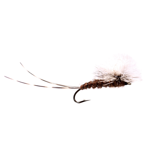 Preseason 2026 Giant Para Drake