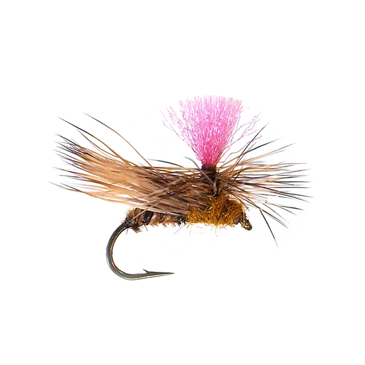 Bloom's Para Caddis - Amber