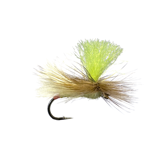 Bloom's Para Sally