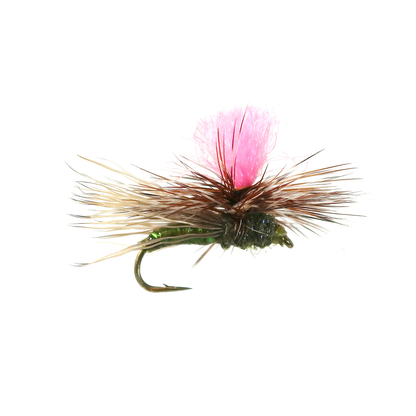 Bloom's UV Para Caddis