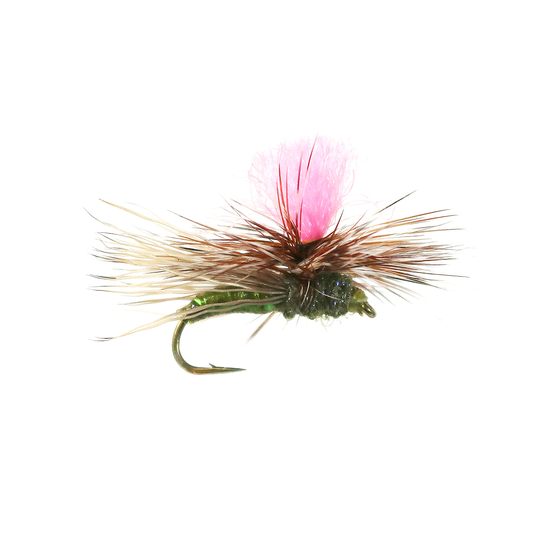 Bloom's UV Para Caddis - UV Olive