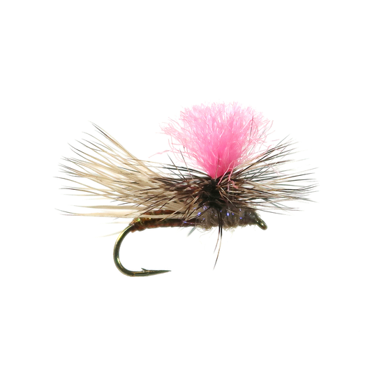 Bloom's UV Para Caddis