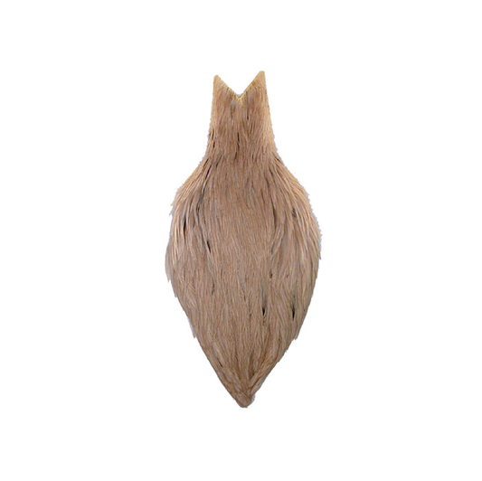 Ewing Hen Neck