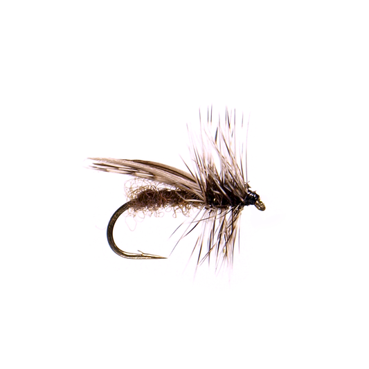 Preseason 2026 Hemmingway Caddis - Grey