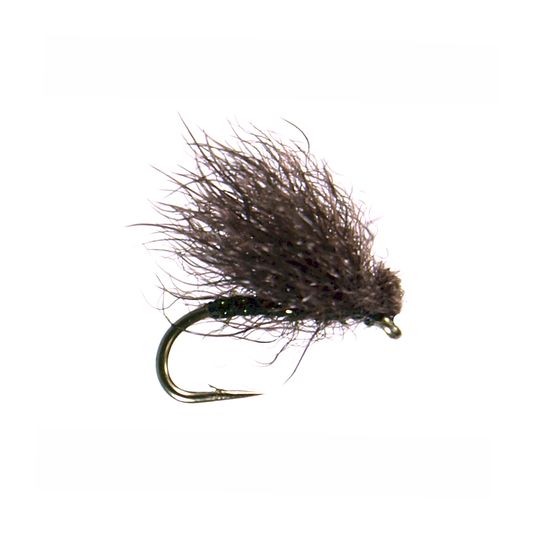 Preseason 2026 Snowshoe Caddis - Black