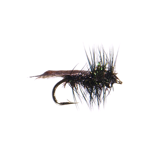 Preseason 2026 Hemmingway Caddis - Black