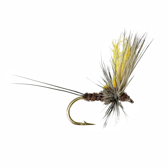 Preseason 2026 YFG's Hi Vis Mahogany