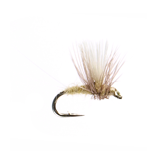 Thorax PMD