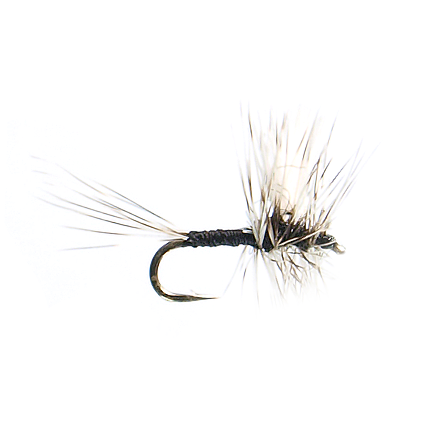 Thorax Trico