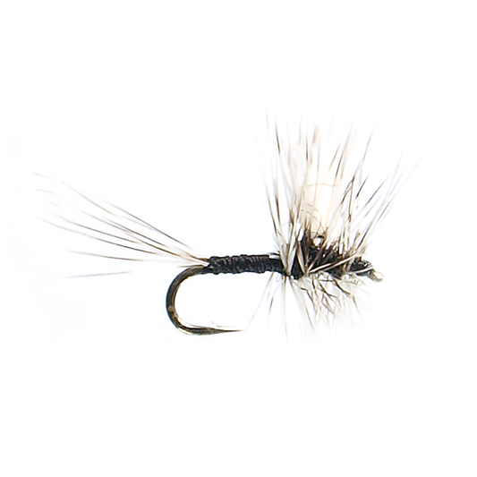 Thorax Trico