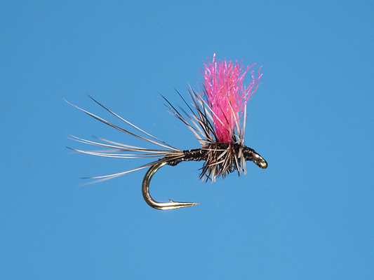 Thorax Trico - Hi Vis