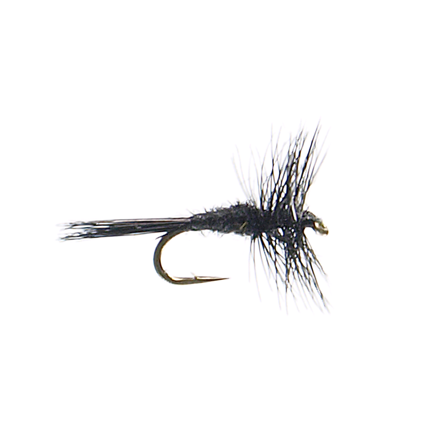 Black Midge