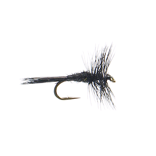 Black Midge