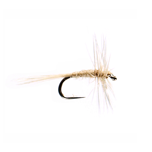 Cream Midge