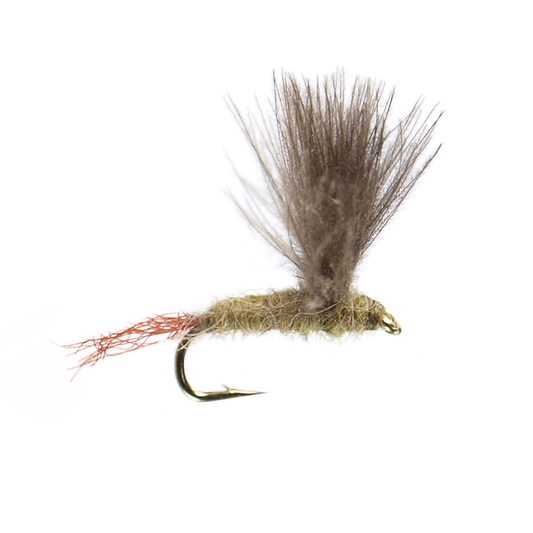 CDC Blue Wing Olive